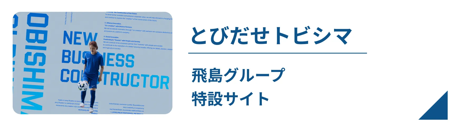 とびだせトビシマLPリンク